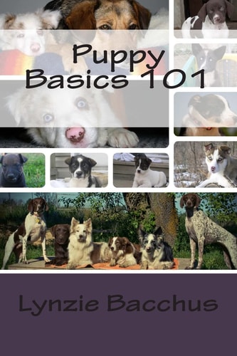 Puppy Basics 101 Bringing Your New Puppy Home