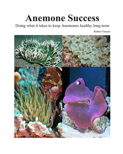 Success with Anemones Doing What It Takes to Keep Anemones Healthy Long-Term
