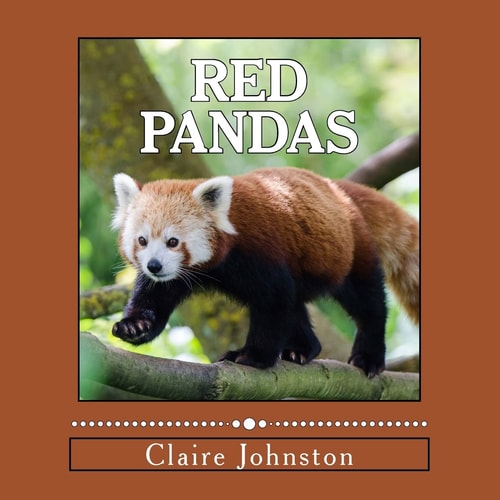 Red Pandas Shy Forest Dwellers