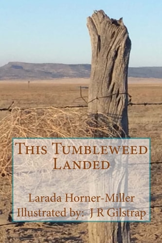 This Tumbleweed Landed Poetry and Prose