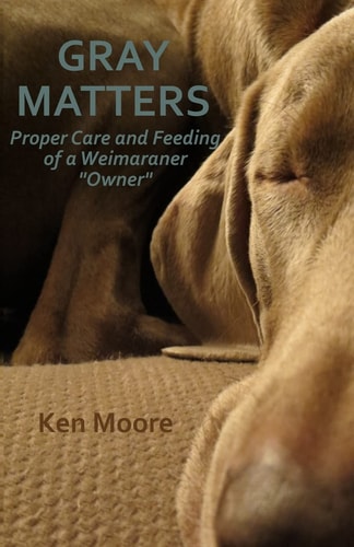 Gray Matters Proper Care and Feeding of a Weimaraner Owner