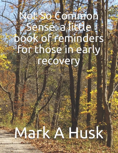Not So Common Sense A Little Book of Reminders for Those in Early Recovery