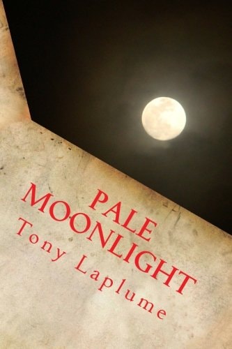 Pale Moonlight A Novel