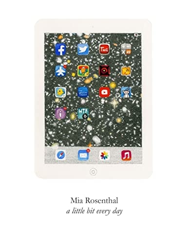 Mia Rosenthal: a Little Bit Every Day Gallery Joe