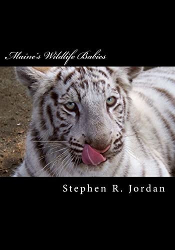 Maine's Wildlife Babies D. E. W. Animal Kingdom Baby Residents