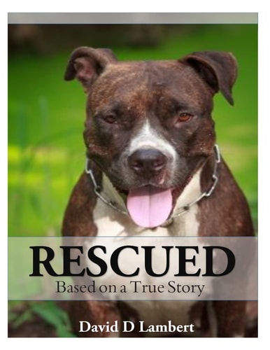 Rescued Based on a True Dog Story