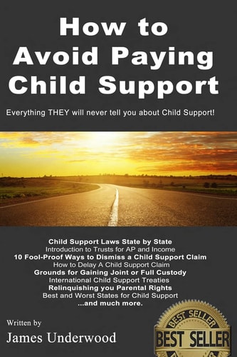 How to Avoid Paying Child Support Learn How To Get Out of Paying Child Support Legally in the USA! A Must Read for Anyone Struggling with Child Support Payments.