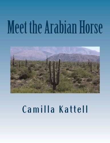 Meet the Arabian Horse
