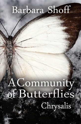 A Community of Butterflies Chrysalis
