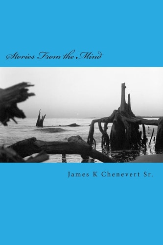 Stories From the Mind Short Stories