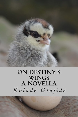 On Destiny's Wings A Novella