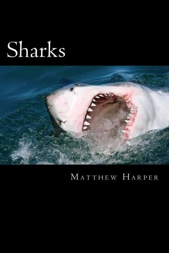 Sharks A Fascinating Book Containing Shark Facts, Trivia, Images & Memory Recall Quiz: Suitable for Adults & Children