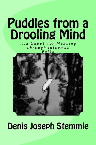 Puddles from a Drooling Mind ... a Quest for Meaning Through an Informed Faith