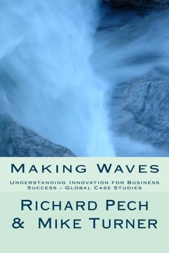 Making Waves Understanding Innovation Fo Business Success - Global Case Studies