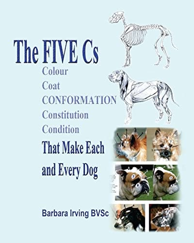 The Five Cs That Make Each and Every Dog