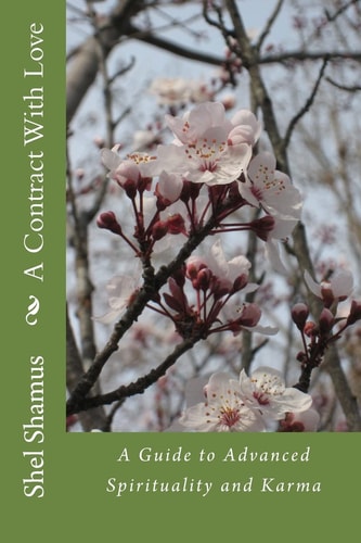 A Contract With Love A Guide to Advanced Spirituality and Karma