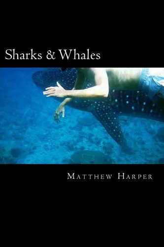 Sharks & Whales A Fascinating Book Containing Shark & Whale Facts, Trivia, Images & Memory Recall Quiz: Suitable for Adults & Children