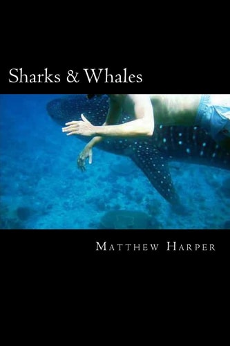 Sharks & Whales A Fascinating Book Containing Shark & Whale Facts, Trivia, Images & Memory Recall Quiz: Suitable for Adults & Children