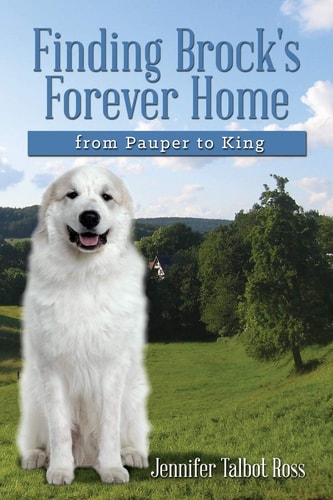 Finding Brock's Forever Home From Pauper to King