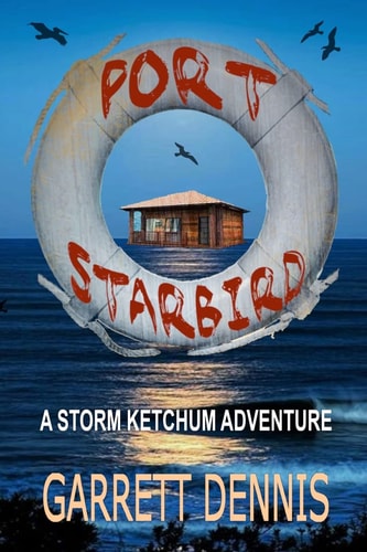 Port Starbird A Storm Ketchum Adventure