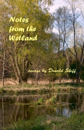 Notes from the Wetland