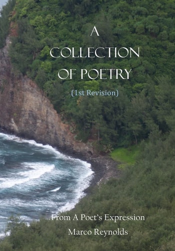 A Collection of Poetry (1st Revision) From a Poet's Expression