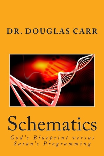 Schematics God's Blueprint Versus Satan's Programming