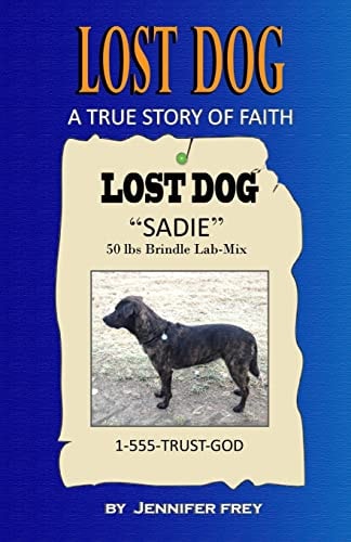 Lost Dog A True Story of Faith