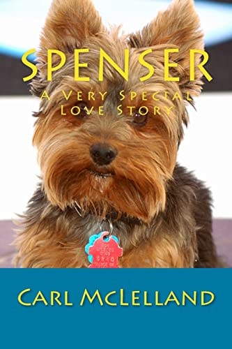 Spenser A Very Special Love Story