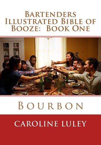 Bartenders Illustrated Bible of Booze Book One Bourbon