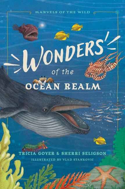 Wonders of the Ocean Realm: 5 Under-The-Sea Tales of Faith and Science for Kids