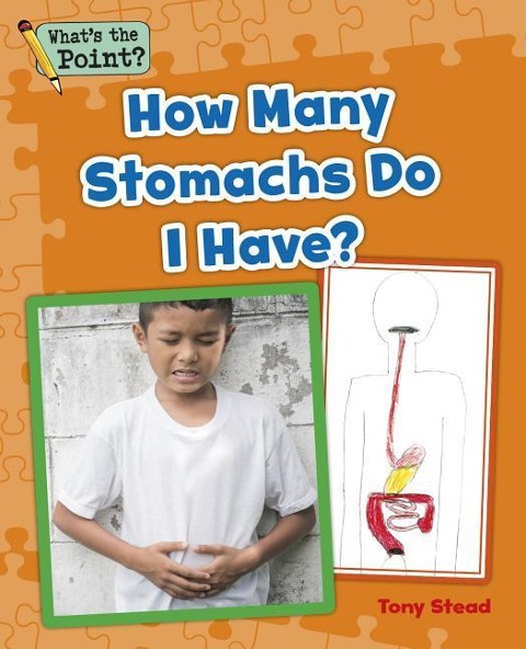 How Many Stomachs Do I Have?