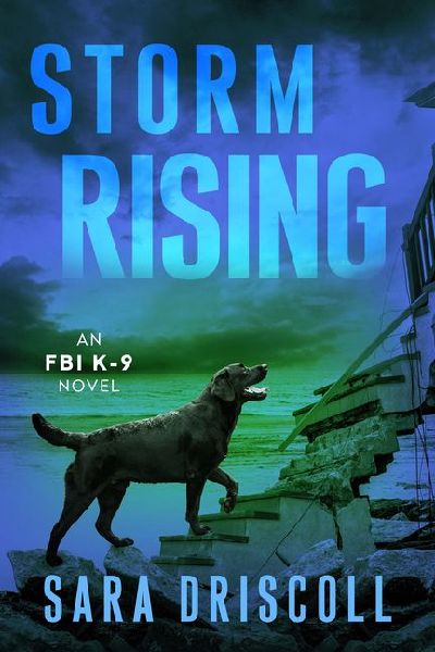 Storm Rising