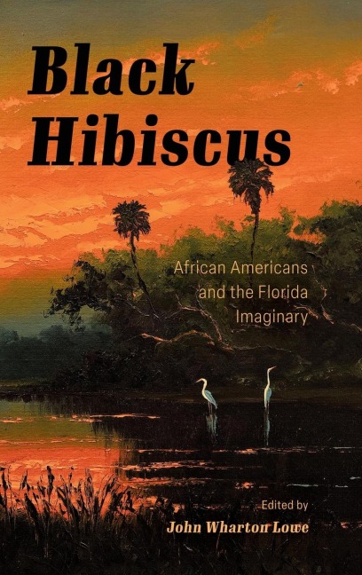 Black Hibiscus: African Americans and the Florida Imaginary (Hardback)