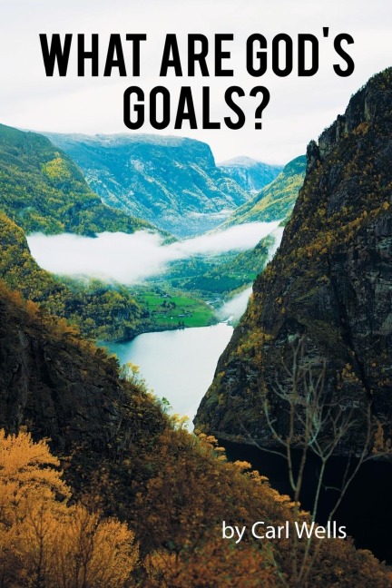 What Are Gods Goals?