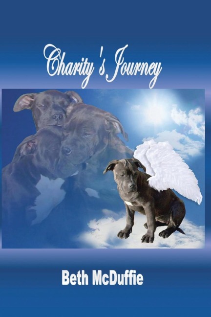 Charitys Journey