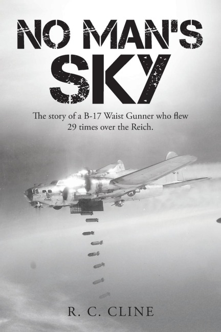 No Mans Sky: The Story of a B-17 Waist Gunner Who Flew Twenty-Nine Times over the Reich