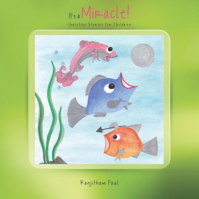 Its a Miracle!: Christian Stories for Children
