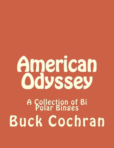 American Odyssey A Collection of Bi Polar Binges