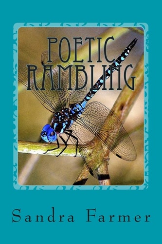 Poetic Rambling