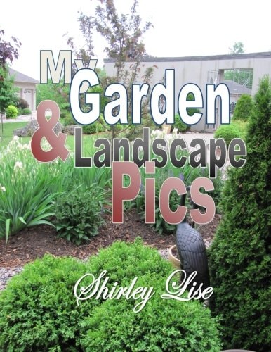 My Garden and Landscape Pics
