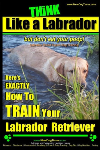 Think Like a Dog... But Don't Eat Your Poop! Here's Exactly How to Train Your Labrador Retriever