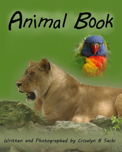 Animal Book