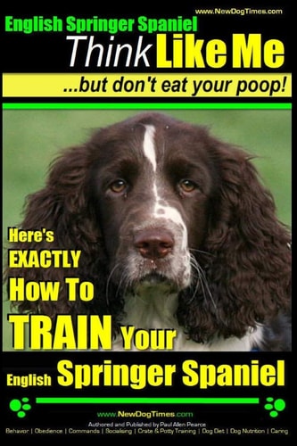 English Springer Spaniel Think Like Me, But Don't Eat Your Poop! Here's Exactly How To Train Your English Springer Spaniel
