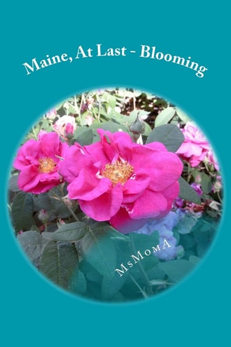 Maine, At Last - Blooming