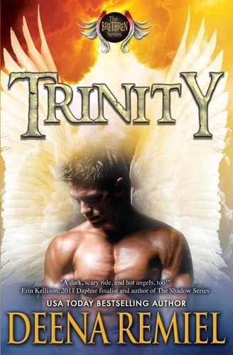 Trinity A Brethren Novel