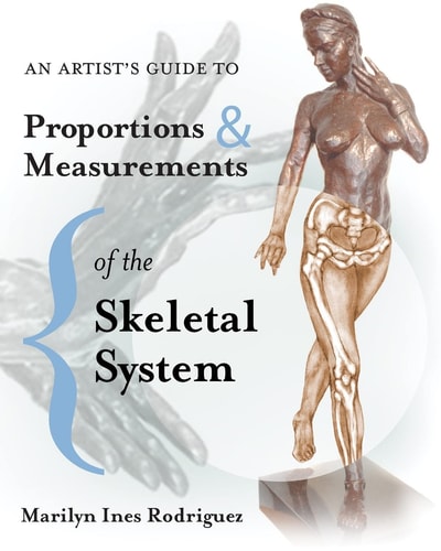 An Artist's Guide to Proportions and Measurements of the Skeletal System