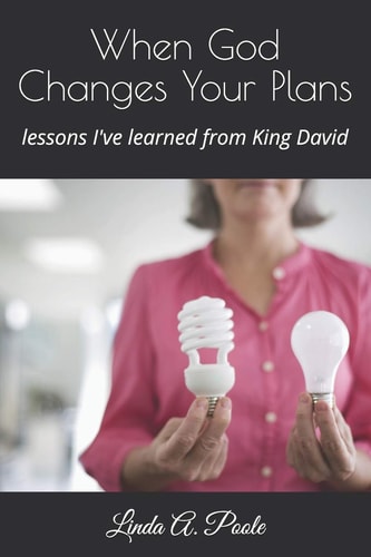 When God Changes Your Plans Lessons I've Learned from David