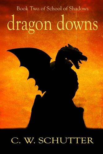 Dragon Downs Book Two - School of Shadows