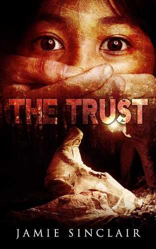 The Trust A Detective Inspector Ashton Novel